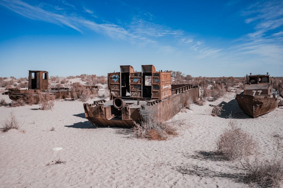 2025 Economic Trends: Key Insights on Weather and Natural Disasters Impacting the Economy